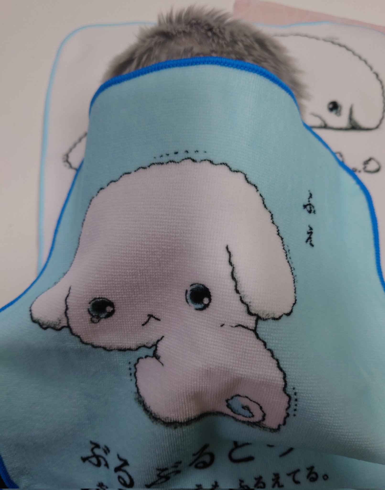 ぶるぶるどっぐ サンエックス ぬいぐるみ リュック ブランケット付き セット ぶるぶるどっぐ サンエックス ぬいぐるみ リュック ブランケット