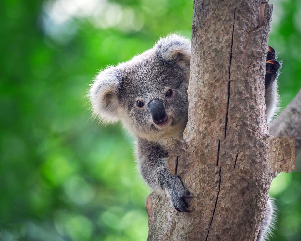 Dzien dobry w niedzielę.Miłego leniuchowania😊☕☕🎶🍀👋