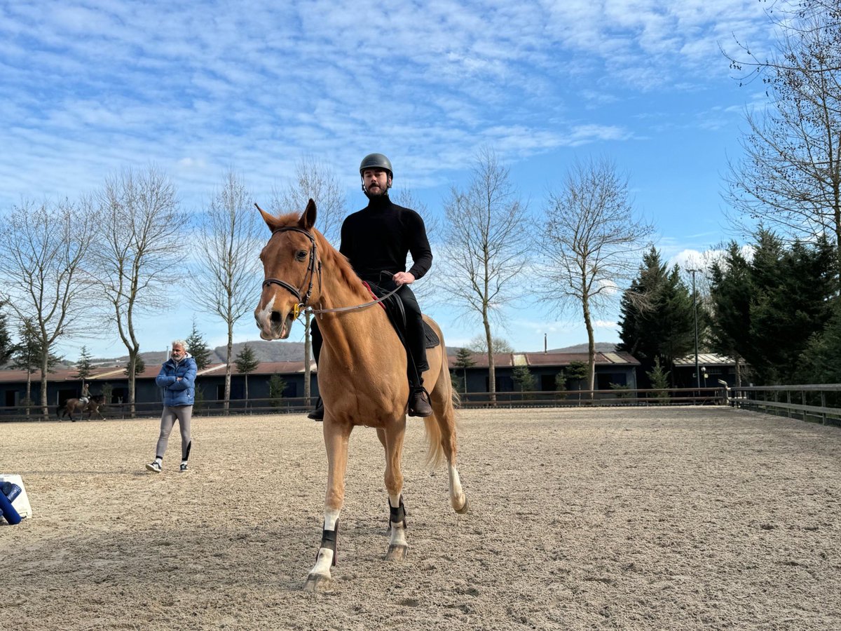 #OğuzPeçe: “Atlar psikolojini anlıyor” 

Son dönemde Temelli Misafir dizisinde başrol oynayan ve  canlandırdığı Burak karakteriyle büyük beğeni toplayan başarılı oyuncu Oğuz Peçe, binicilik eğitimine başladı. 

Haftanın iki günü Güneş Binicilik Atlı Spor Kulübü’nde ders alan