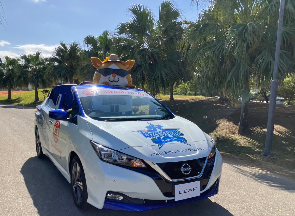 ydb_yokohama's tweet photo. #スターマン がリリーフカーに乗ってトロピカルビーチに登場🚗🏖️

「シーサーの絵付け体験」の会場を視察しました😎

絵付け体験では自由に色を選んで絵付けすることができるので、スターマンを真似て絵付けすることも可能🐹💕

世界に一つだけのシーサー作りを楽しみましょう✨

#春季キャンプ #宜野湾キャンプ 
#baystars