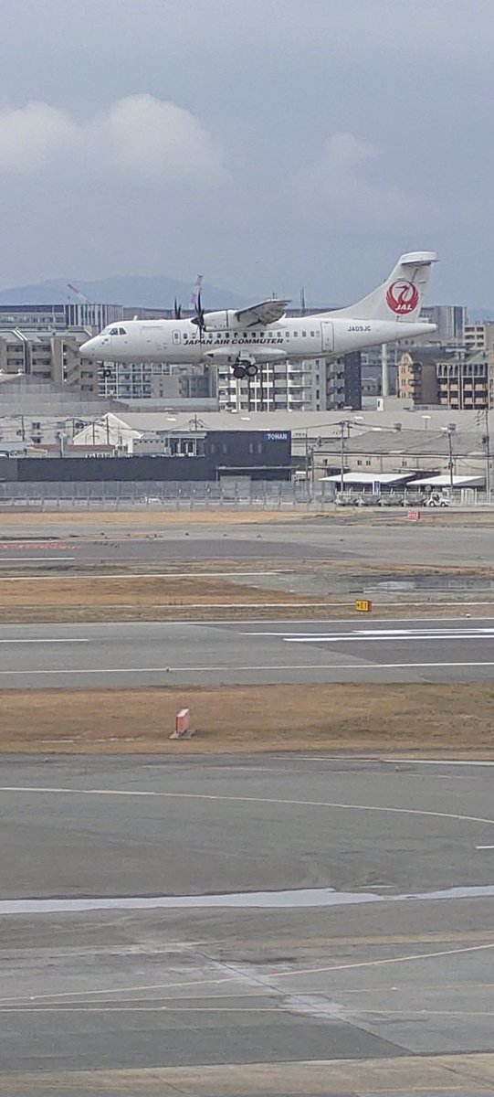 HX9JLBE_PONCHO's tweet photo. しろかちゃん🤍いらっしゃ~い🤗
待ってたよ~😍
JL3550(ATR42-600)
#JA09JC https://t.co/y9hKiOSgjq