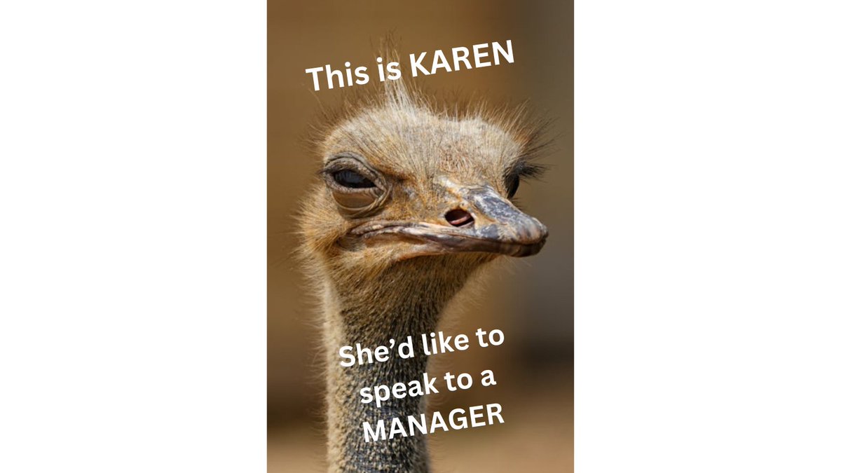 🚀 Here comes OstrichKaren – 💰😂 Launching Soon Get in early and ride the wave! 🌊🔥
Telegram: t.me/+k6jOF457wJM2O…
Website: ostrichkarencoin.com
#Memecoin #Crypto #ToTheMoon 🚀
