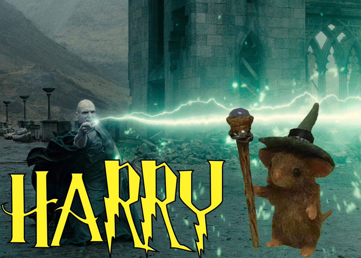 GabH4b's tweet photo. @lofitheyeti preparing for some big moves for sure...

cheesy win here at $HARRY soon https://t.co/Cwj9VuQjy0