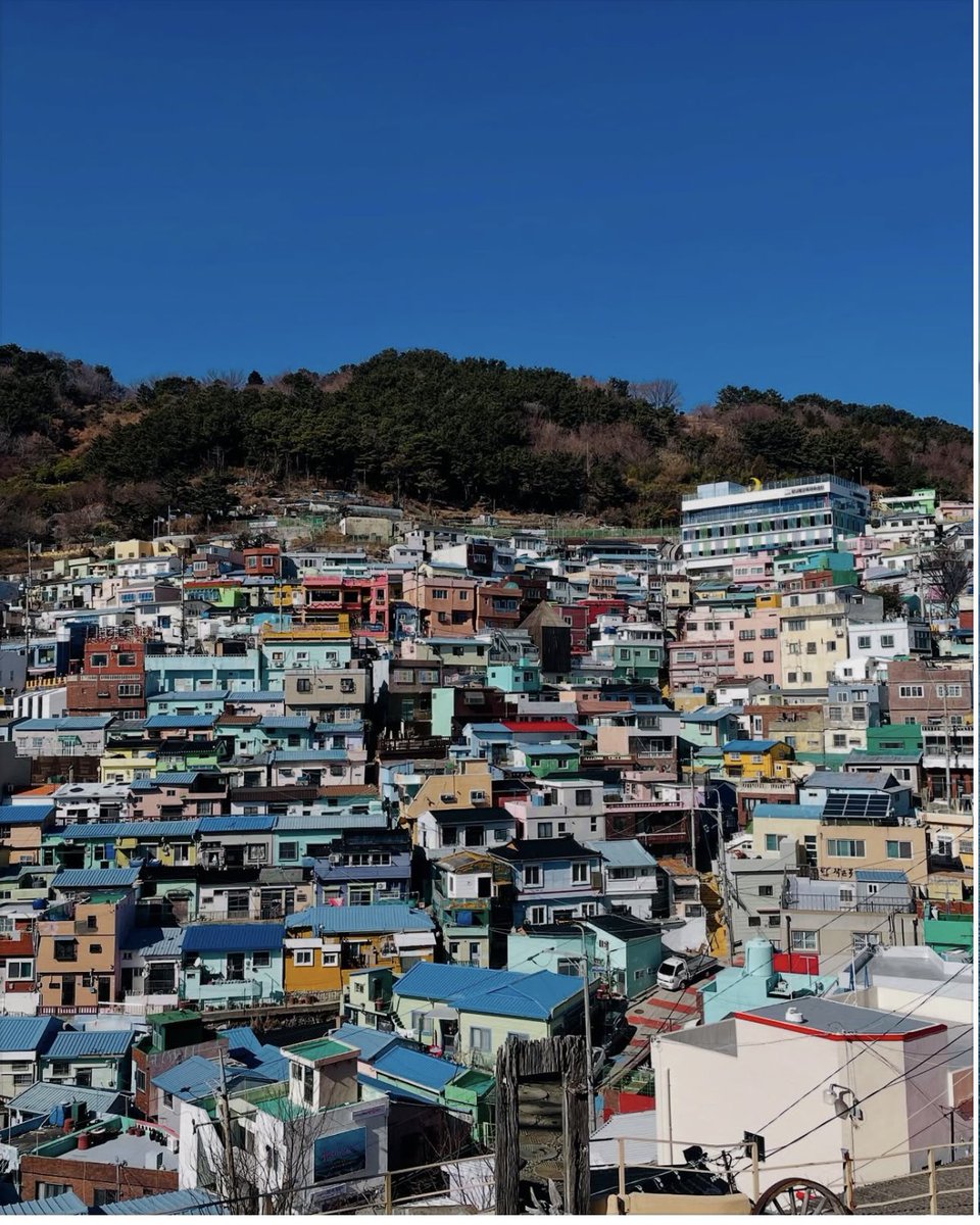 Good morning 🙋‍♀️