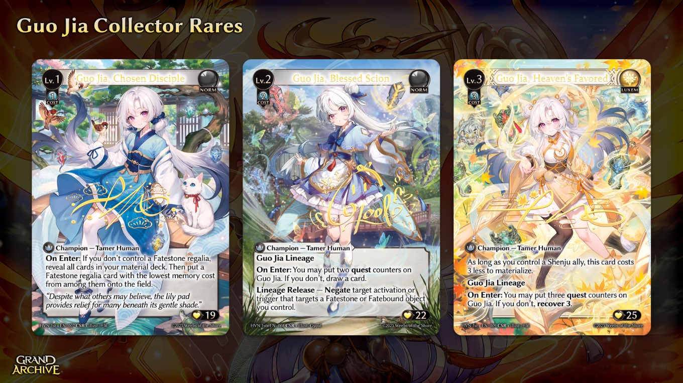 高評価レビュー Archive Grand TCG  X: on その他