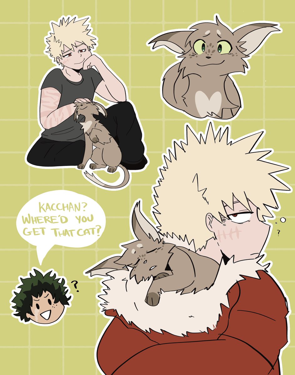 kacchan found an interesting cat #katsukibakugou #mha