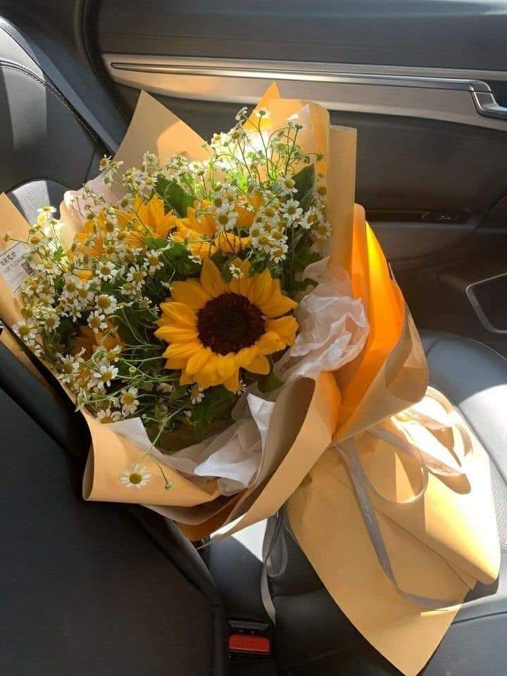 sunflower.🌻🤍 tweet media