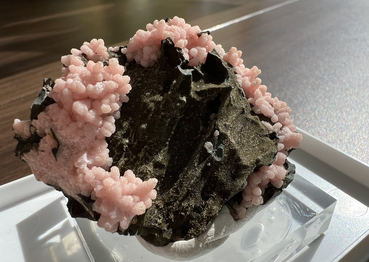 春を呼んでくれそうなロードクロサイト🌸
優しい春が来ますように

Rhodochrosite
Chihuahua, Mexico
