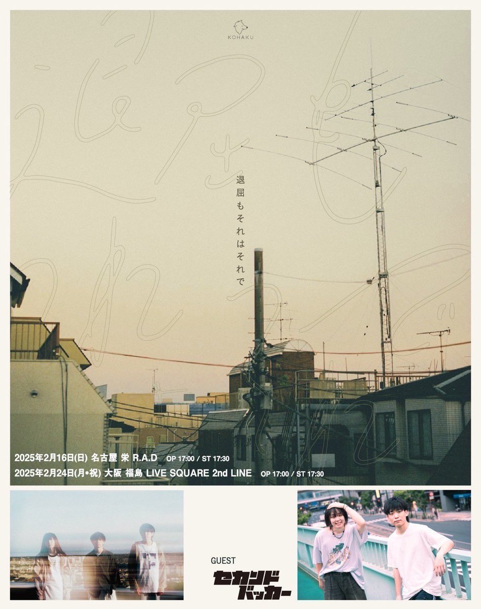 近江百山 近江百山-ヤマレコ