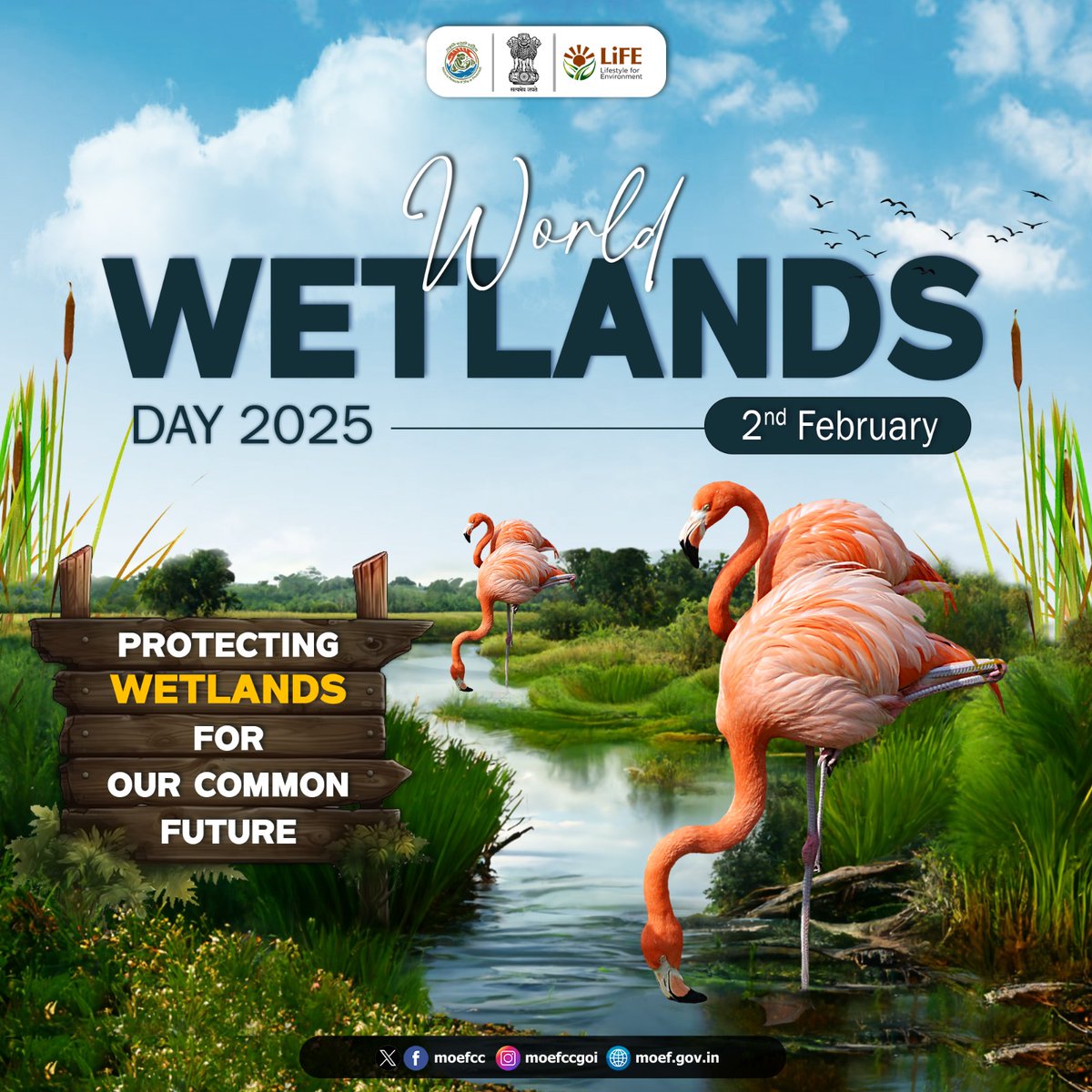 MoEF&CC tweet media