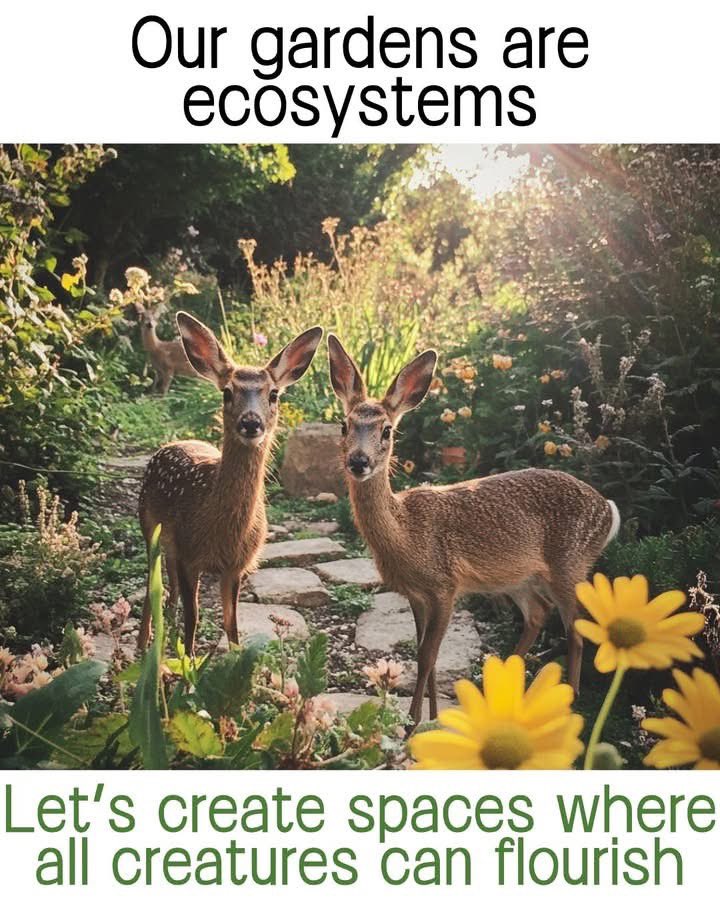 nekesa_victory's tweet photo. #BrandTransnzoiaCBO
#KIKWETUSTREETFASHIONSHOW
#KWS #TransayaAHomeForTheWild
#Petrelands #WildlifeConservation
#SaveTheBees #GreenSpaces
#SustainableFuture #EcoFriendly
#NatureLovers #VictoryLens
#ProtectOurPlanet
#GreatestStreetFashionShow
#CreateVibrantGardensForPollinators https://t.co/XtKMXtrUDp