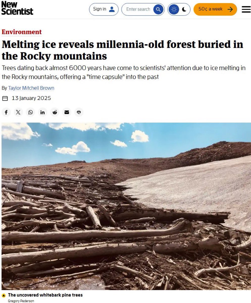 Chris Martz (@chrismartzwx) on Twitter photo So, get this. . .
A 5,900-year-old whitebark pine (Pinus albicaulis) forest has recently thawed out from beneath receding alpine ice in the Beartooth Plateau in Wyoming. The trees were found at 3,100 meters in elevation, some 180 meters above the current tree line. 🌲
🔗 So, get this. . .
A 5,900-year-old whitebark pine (Pinus albicaulis) forest has recently thawed out from beneath receding alpine ice in the Beartooth Plateau in Wyoming. The trees were found at 3,100 meters in elevation, some 180 meters above the current tree line. 🌲
🔗