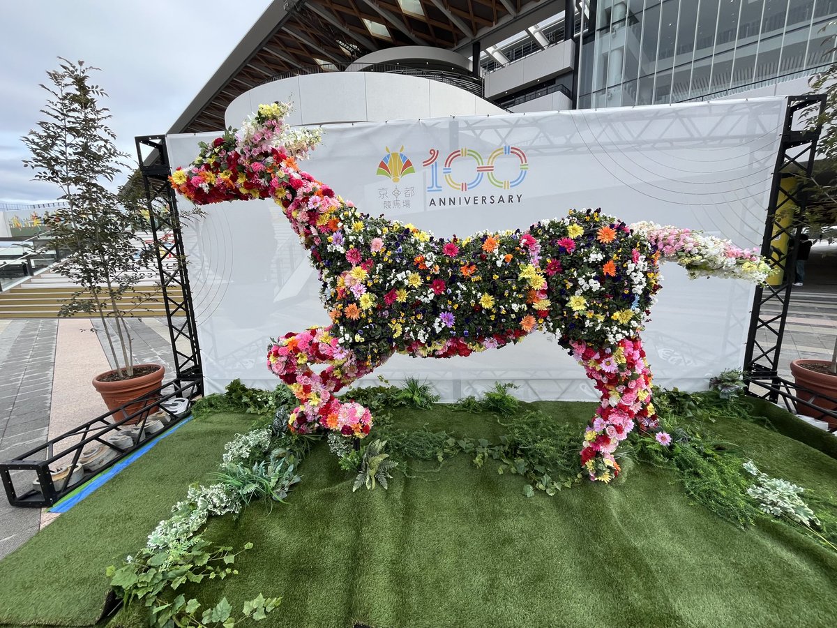 競馬は全くやらない私ですが『京都競馬場とインバウンド』を調査するためにやってきました。訪日旅行者は見かけませんねー日本の競馬は海外で人気と聞いたのですが‥‥
今からビギナーズセミナーに参加します🐎