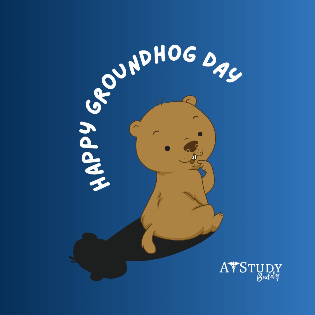 AtstudyB's tweet image. Happy Sunday and Groundhog Day! Are you hoping for six more weeks of winter or ready for an early spring? Drop your vote below! ⬇️

#GroundhogDay #WinterOrSpring #ShadowOrNoShadow #happysunday #sundayfunday