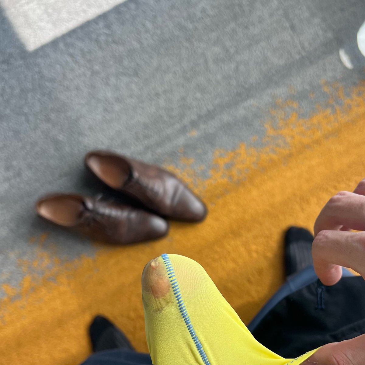 半个月没🐍……