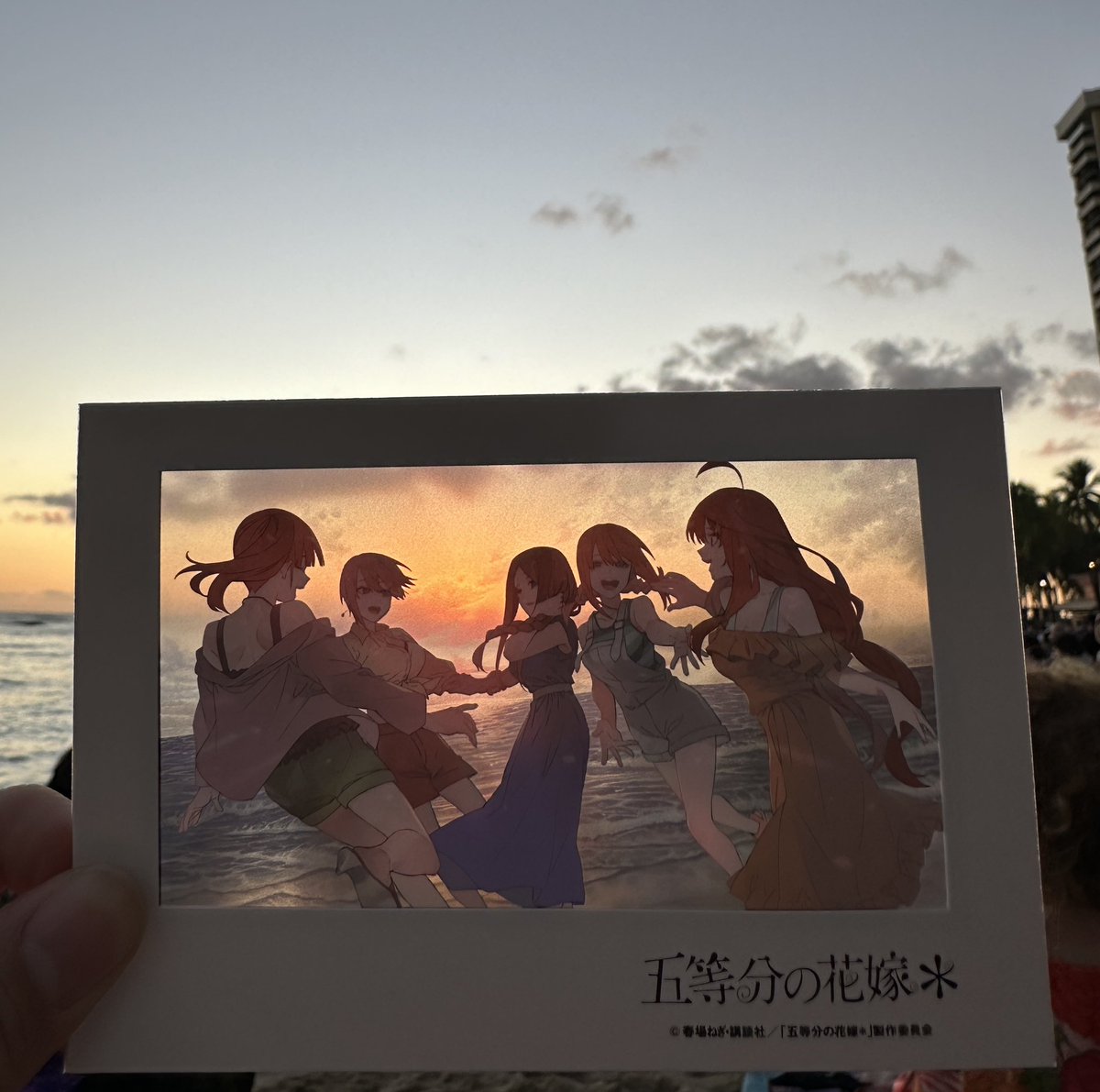 レッド🦋🎧 tweet media