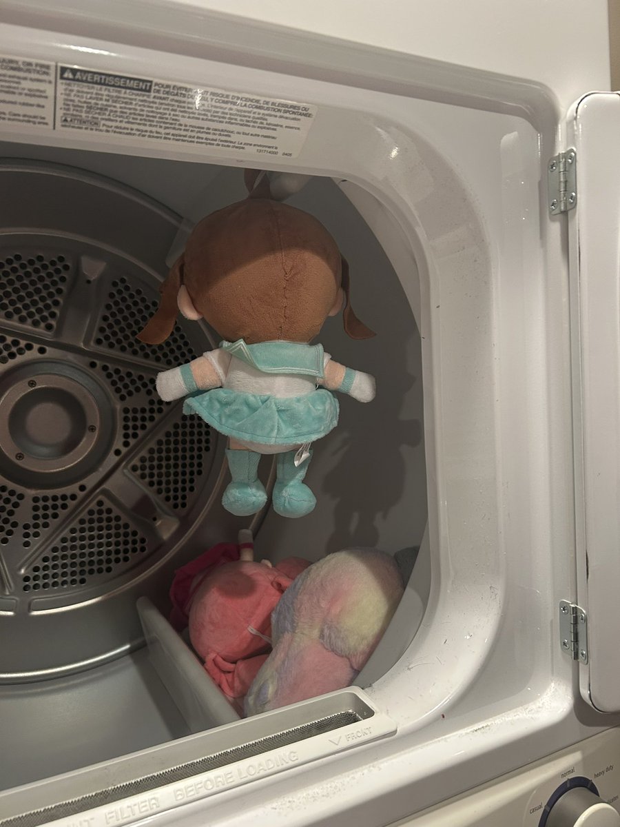 I was drying some plushies we just got and i opened the door to this. 

I had the most visceral doki doki literature club flashback LMAO