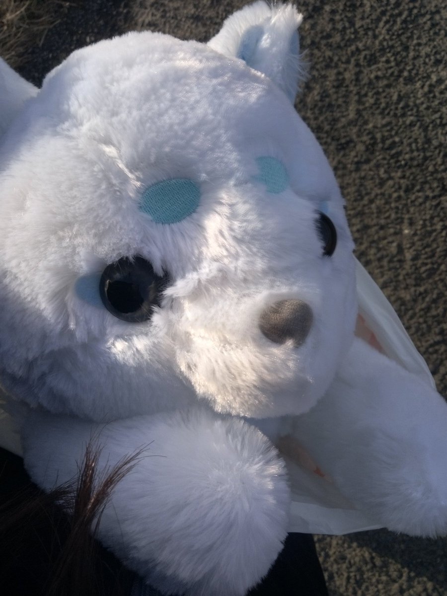友達とゲーセン行って[あ、これ取ろー！まぁ取れないだろうけどねw]って思いながらやってみたらそこのゲーセン内で1番でかい人形取れちゃったからおすそ分けー
 #Vライバーの休日
 #友人とゲーセン
  #人形可愛いとおもったらRT