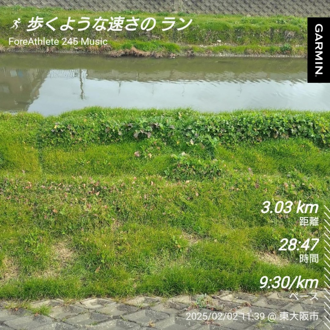 一ヶ月ぶりに
なんとか歩くような速さ
で走りました！
足の調子や色々で
なかなか走れない！
大阪マラソンは
やっぱり無理かな。😅
今からゆっくりラグビー
でも見て 夜は恵方巻きと
オイルサーディンで！🍶
#ランプラ🏃#sip765