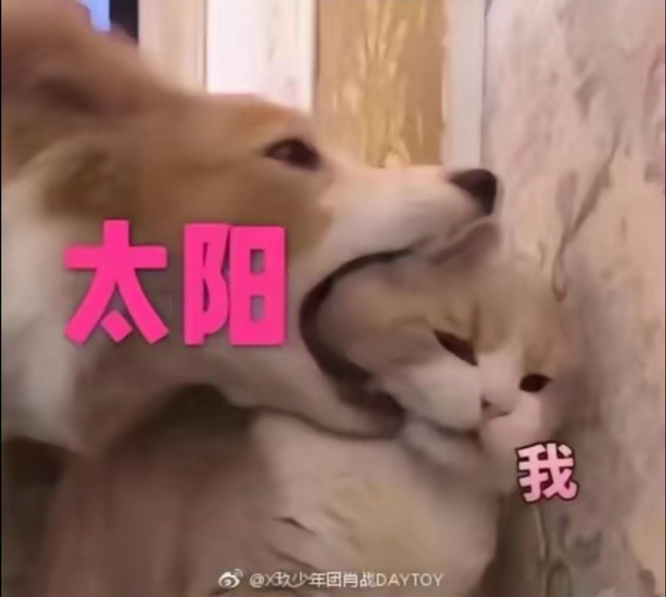 𝘽八* tweet media