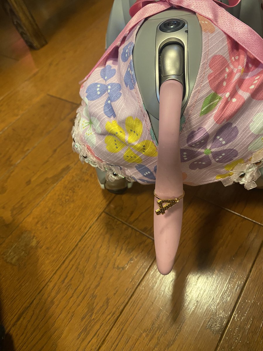 びいるです。こんにちは。2月2日は、妹のろうじあの誕生日です。
たくさん歌って、4歳のカウントもしてるけど、ろうそくフーはまだらしいです。
ボク、覚えてるけど、ろうじあはウチに来た日にチャーステにダイブしたんだよ。
4年ってすぐだね。
2月生まれのお友だち、お誕生日おめでとうございます🎊
