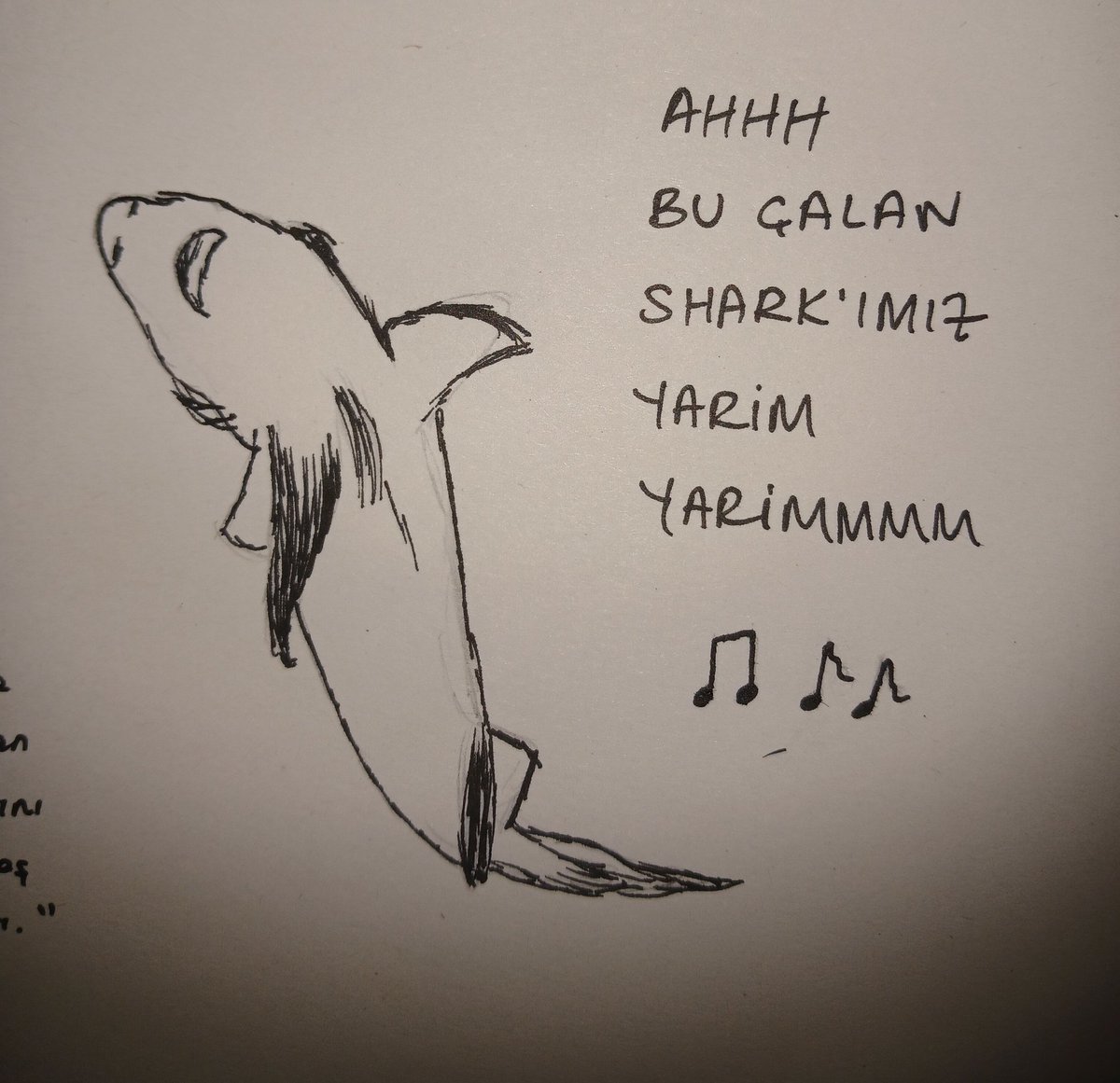 BU DA BENİM SIPA 🥹