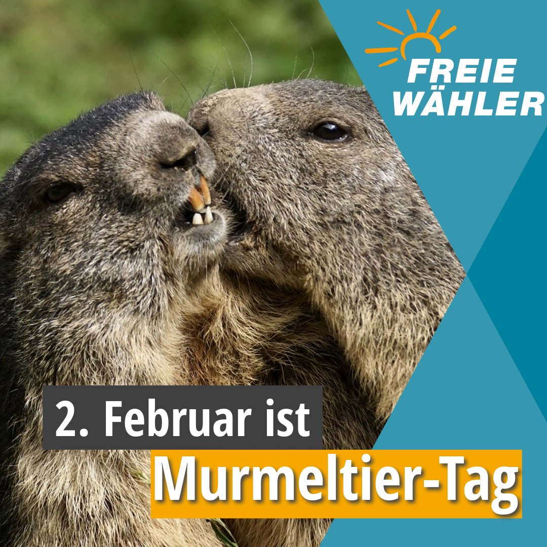 fw_bayern's tweet photo. 🧡🏔️🤗 #Bayern 

In den Alpen beheimatet, der ein oder andere Wanderer hat sie schon auf dem Weg in Richtung Gipfel zu Gesicht bekommen. Noch befinden sich die kleinen Nager wohl im Winterschlaf und warten auf die warmen und sonnigen Monate. 🌞

Unser Bayernland ist schön! https://t.co/vGBQJVlvPN