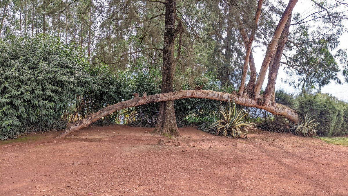 Dusangire amakuru 👇