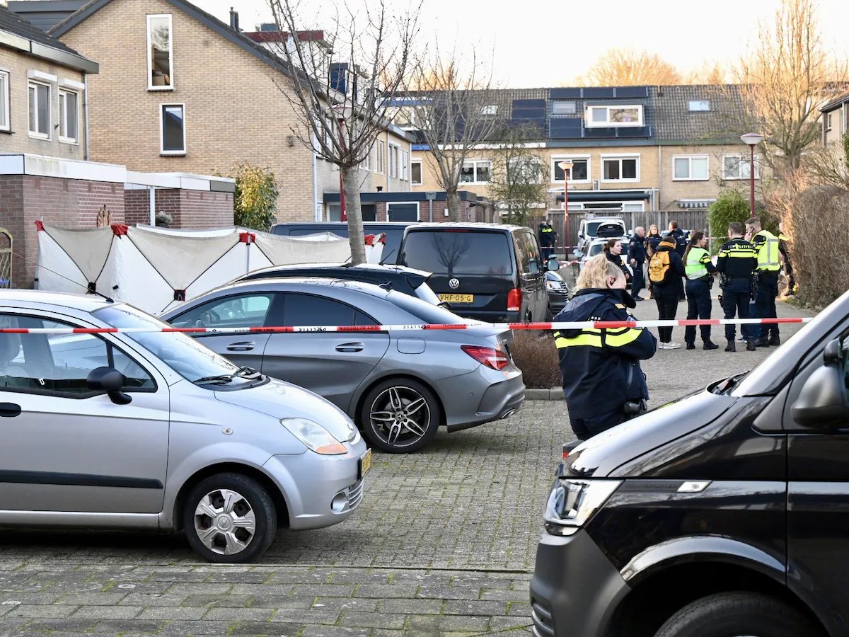 Sander Sassen tweet media