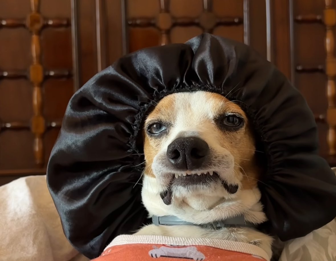 Ø₳₭ ➳ tweet media