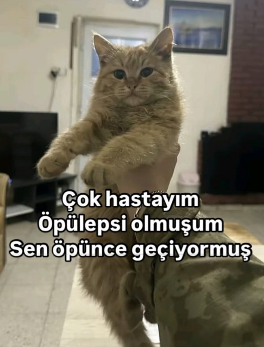 ANLIK (@anlikmod) on Twitter photo 
