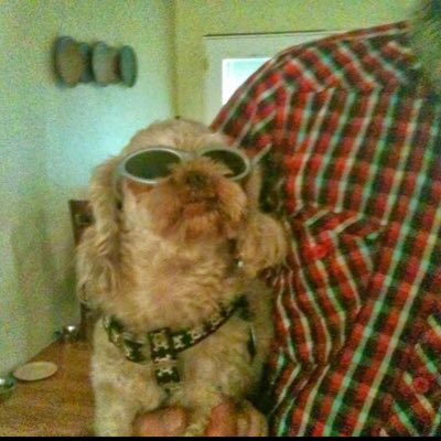 Charles80869351's tweet photo. #NewProfilePic https://t.co/eCTDIoG1O8
