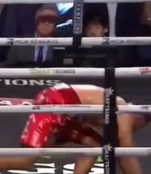 boxing_william's tweet photo. What a Fighter with 11 fights did to the great Mexican monster 😂 Easy work for Canelo and Beterbiev and Bivol https://t.co/ii6GODOzpJ