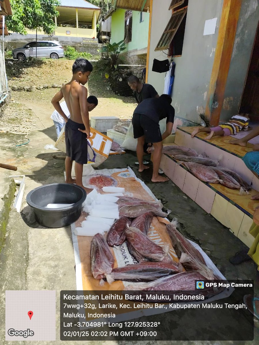 irwan_ibr's tweet photo. Kamis (02/01/25), Irwan Ibr, Luhkan Maluku Tengah, di KUB Anugerah Laut lay (La Ajid dan Ali. J.L) Dsn Lay, Melaporkan tangkapan Tuna Loin  210 Kg Harga Jual 82.000/Kg dgn pancing Ulur, Januari 2025.     #GiatLuhkanSatminkalAmbon #MalukuTengah #tangkap
@BP3_Ambon https://t.co/ezMpOPkk6N