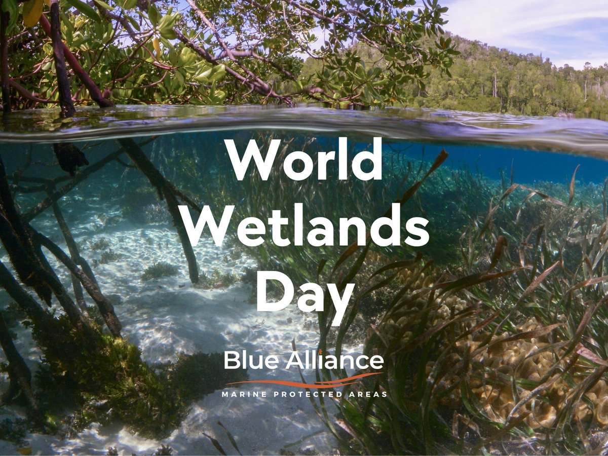 💧🍃 This World Wetlands Day, join us in “Protecting Wetlands for Our Common Future”! Wetlands such as mangroves play a vital role in sustaining our planet. 
#WorldWetlandsDay #ProtectWetlands #WWD2025 #WetlandsForOurCommonFuture #WetlandsCOP15 #ActForWetlands