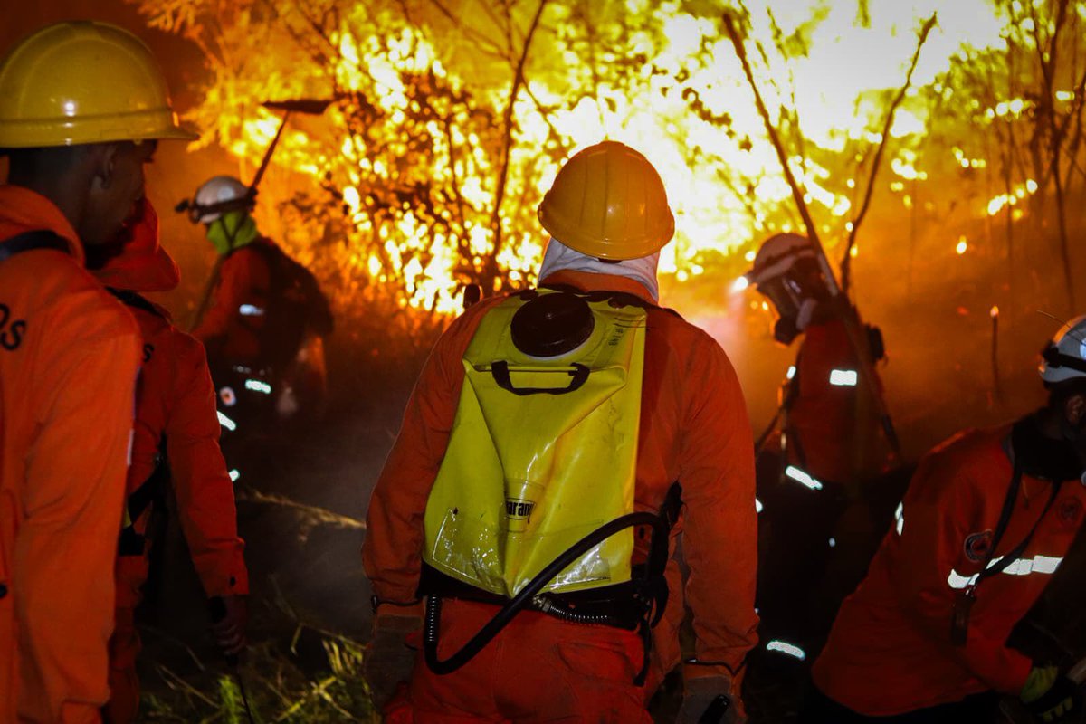 ITROriginal's tweet photo. 🚨 URGENTE: INTENSIFICAN LABORES PARA CONTROLAR INCENDIO FORESTAL EN EL VOLCÁN DE SAN SALVADOR

📌Equipos del Cuerpo de @BomberosSV y personal de @PROCIVILSV trabajan en la extinción del incendio forestal en el Volcán de San Salvador.

📌Utilizan mochilas extintoras y herramientas manuales para atacar las llamas y evitar su avance hacia otras áreas del bosque.