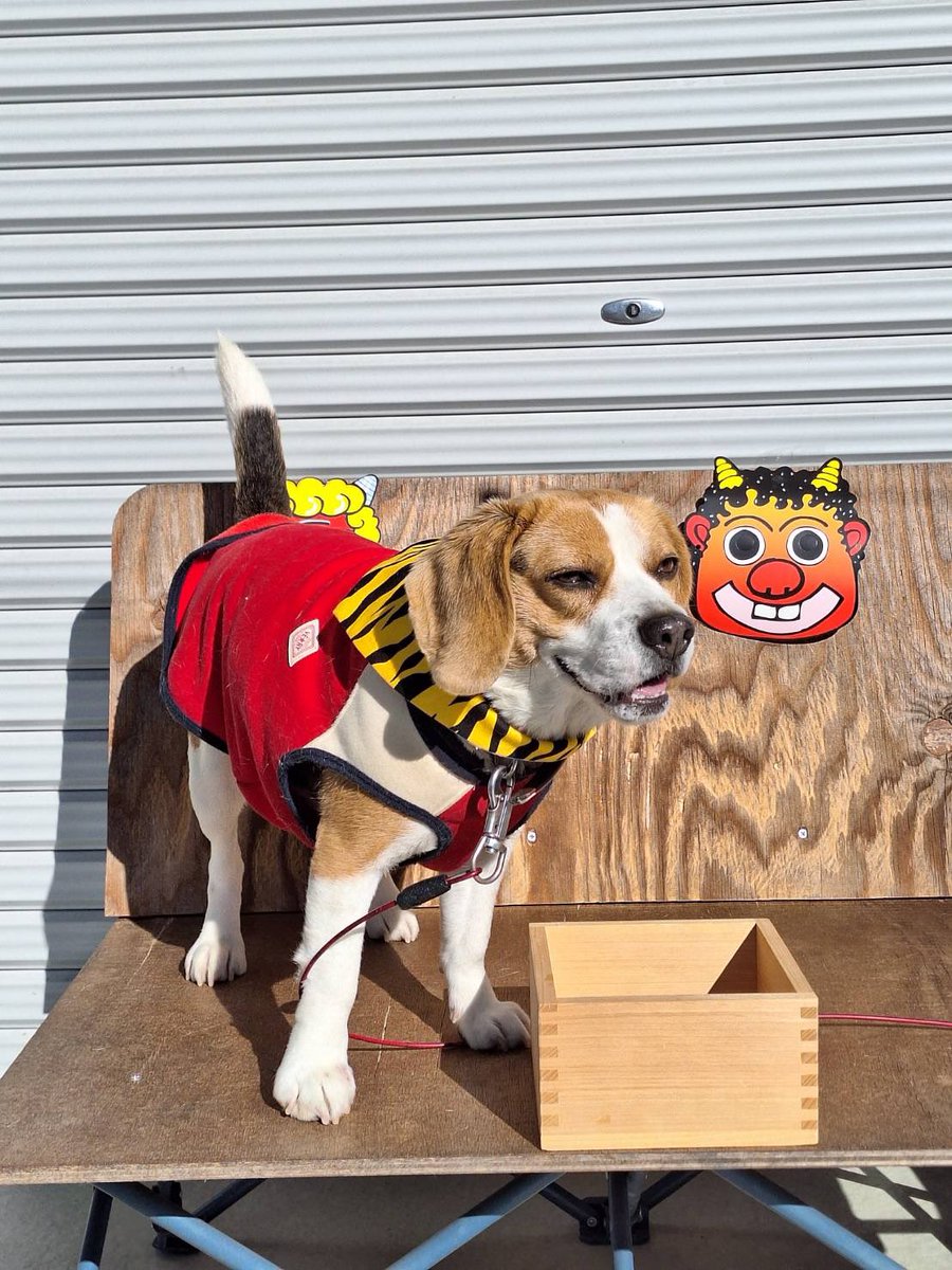 今日は節分ですね👹
こんな可愛い鬼さんは、鬼は〜外！できない😂