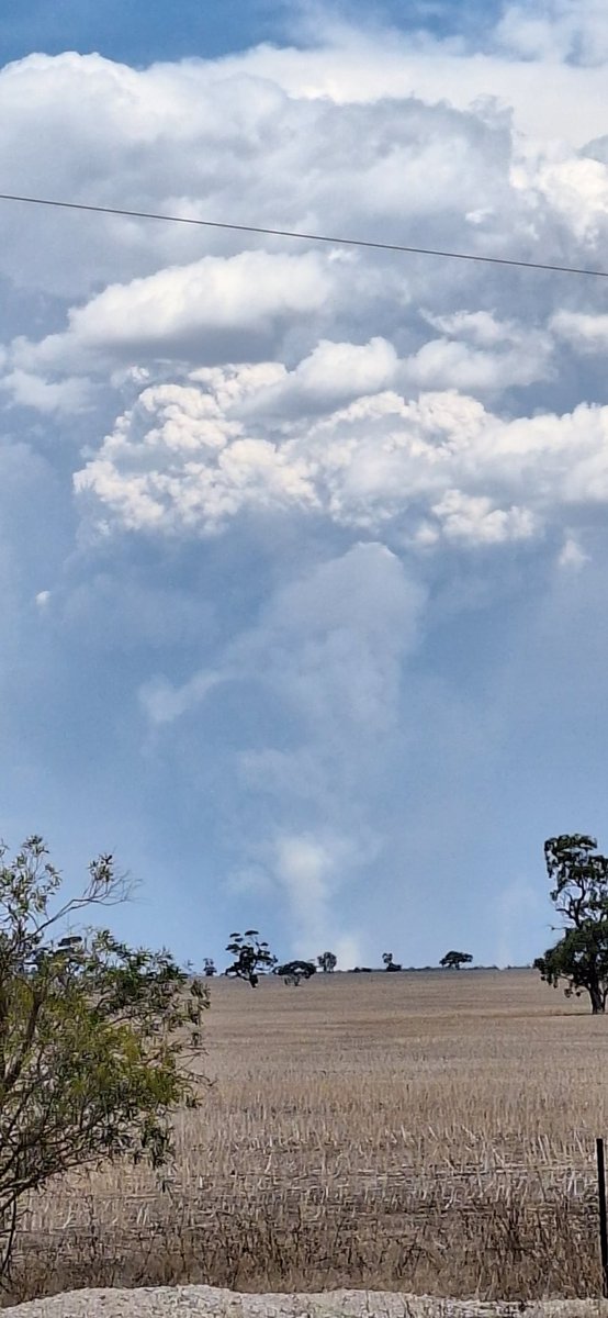 Jonathan Dyer tweet media