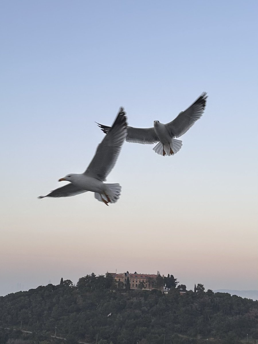 KARDEŞİM! 
GÜZEL ÜLKEMİN, İYİLİKLERİNE İNANDIĞIM GÜZEL İNSANLARI,

CANIM YURTTAŞLARIM👇

Yaşadığımız yangın faciası, ekonomik kriz ve fakirlik, siyasetteki karmaşa, dünya savaşı çığırtkanlıkları.. ile yorulduk, biliyorum. 

Bir de şöyle bakalım👇

Bu güzel ülkede, ülkemizin güzel