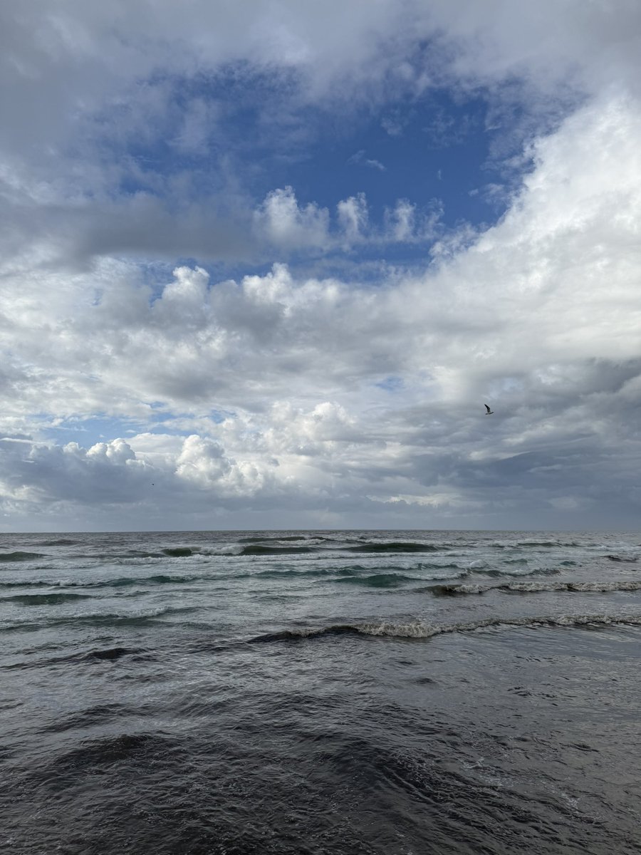 Goooood morning y’all,

Gm back?