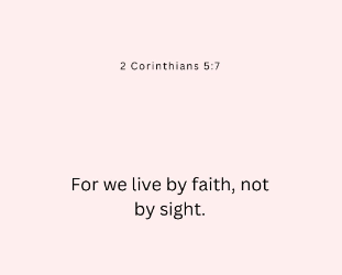 grady💫 tweet media