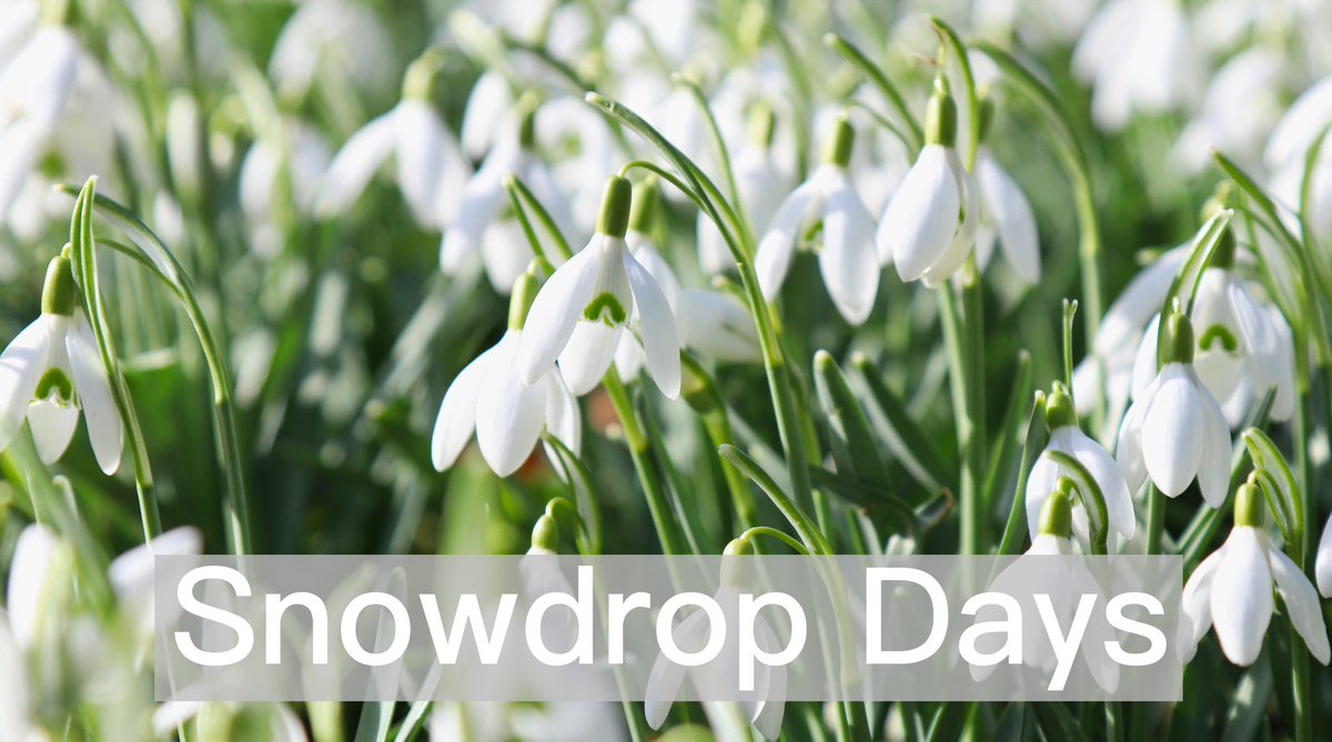 Hear about a series of local snowdrop days which start today. 

To hear the clip, tap here and then tap ▶ tinyurl.com/prp73snow

#Reigate #Redhill #Merstham #Buckland  #Betchworth #Brockham #Horley #Gatton #Earlswood #Charlwood #Hookwood #Outwood
#Leigh #Nutfield