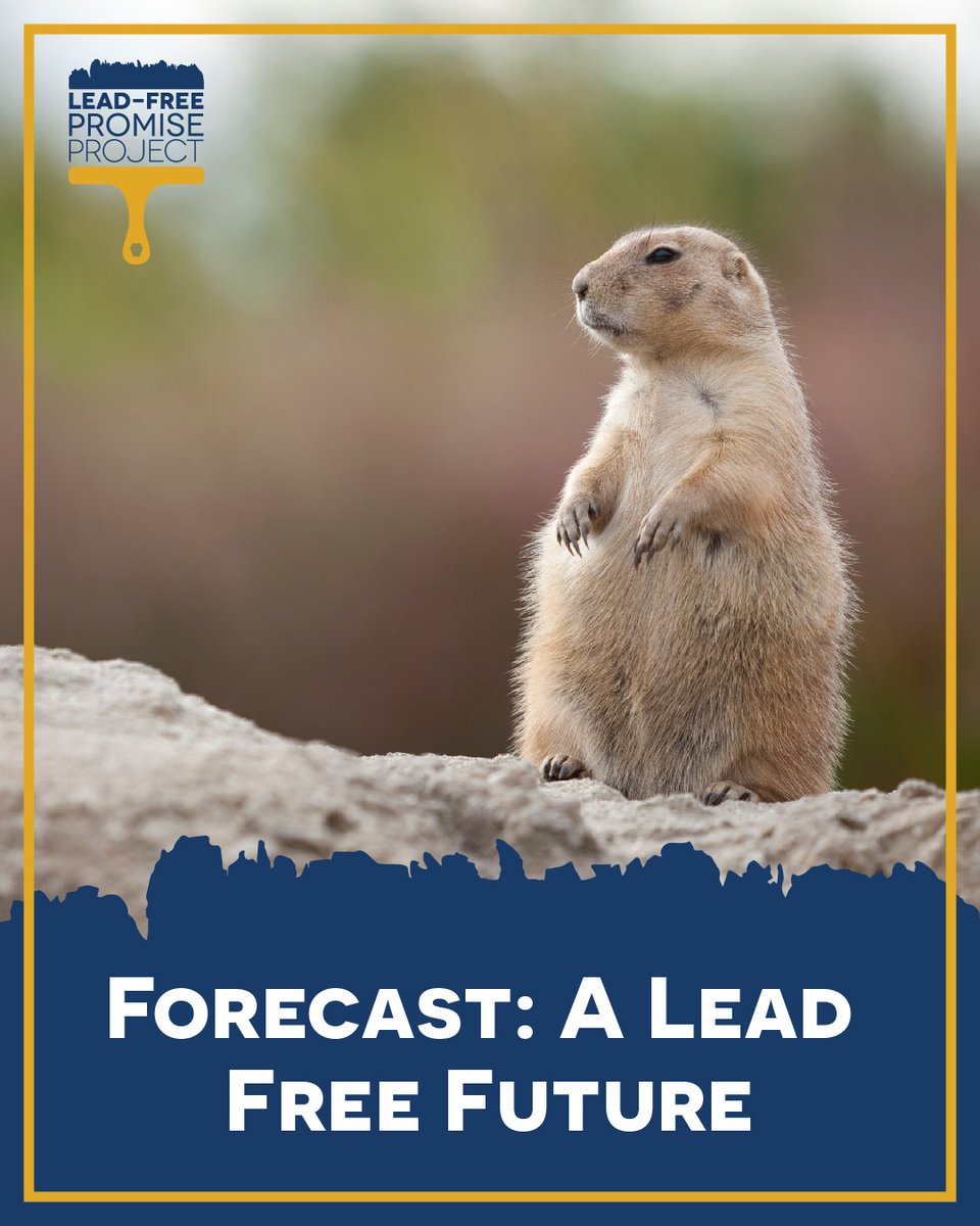 PALeadFree's tweet image. Our shadow is telling us it is long overdue to make #PALeadFree!

Join the #PromiseProject — Together, we can finally get the lead out of PA homes and stop poisoning our kids.
paleadfree.org

#LeadFreePromiseProject #HappyGroundhogDay #GroundhogDay