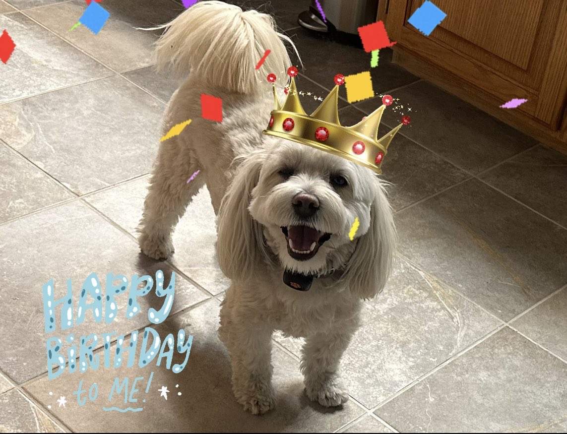 Why am I so happy? Because I’m turning 4 today. It’s my barkday. Happy birthday to me!!!