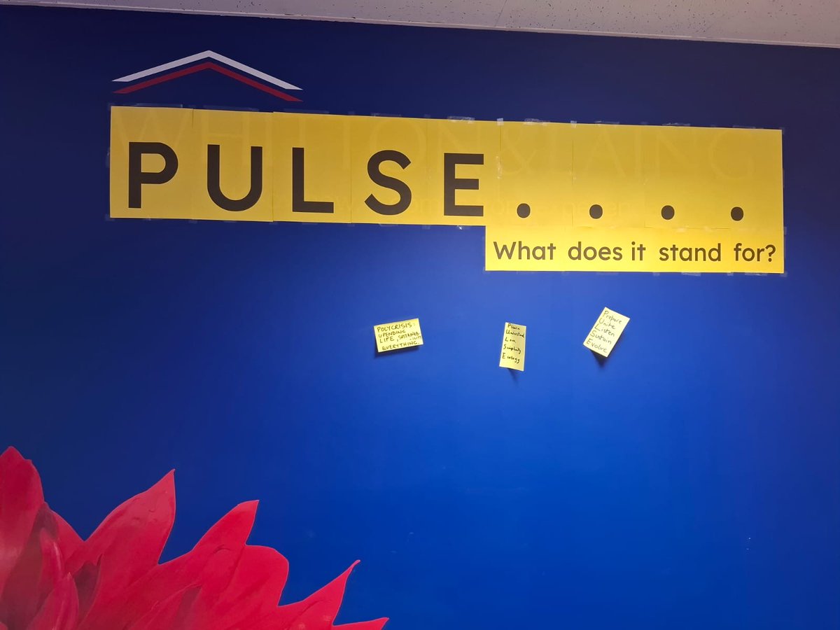 XRExeter's tweet photo. Pop-up Pulse opens on Monday 4th February. Find us at 20 Queen Street, Exeter opposite the Museum https://t.co/O8Op3gtBty