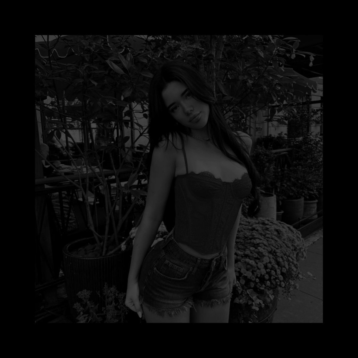 PETlTED0LL's tweet image. 