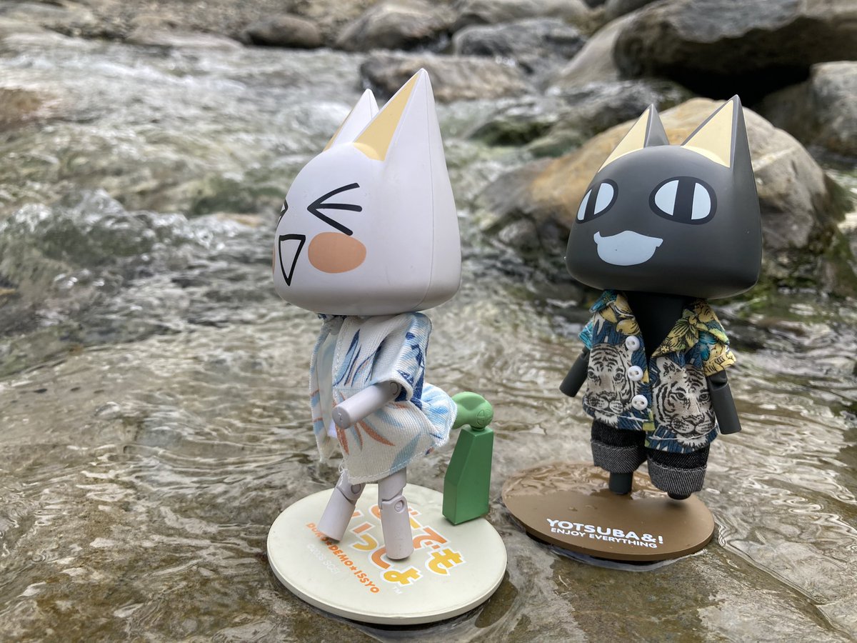 sinoun99's tweet image. Toro&amp;amp;Kuro玩水囉