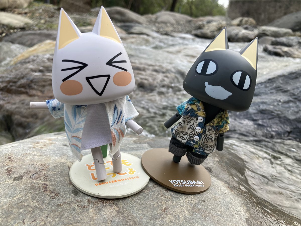 sinoun99's tweet image. Toro&amp;amp;Kuro玩水囉