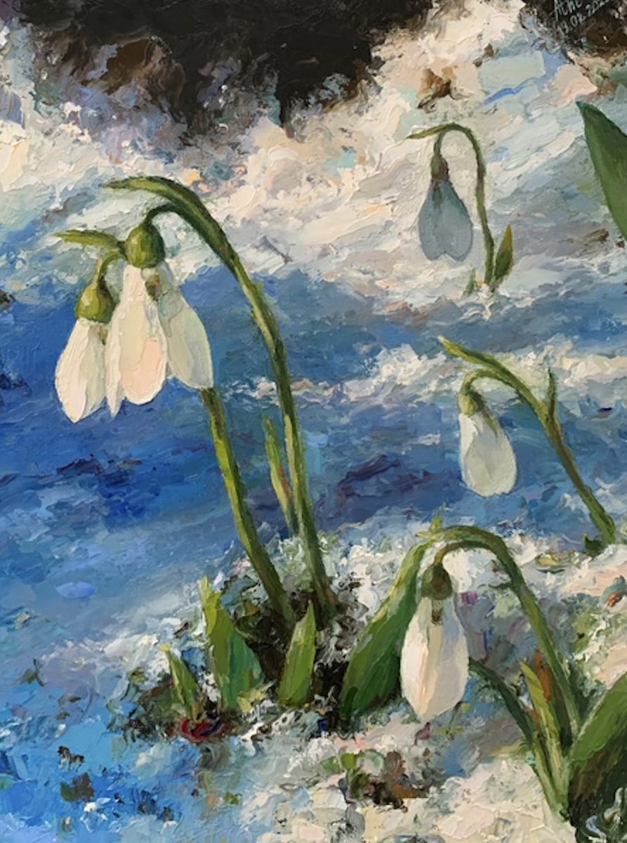 Every year at Candlemas, great drifts of snow-drops bloomed across Old Fox's village – miraculous, unadorned, pilt into the pale February sunlight from the dark, moleish earth below. In the churchyard around the graves and by the yew trees, across the green, in cottage gardens