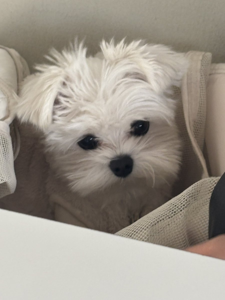 둔나는 잘 지내요
(슬픈거아님. 애.카 왓음.)